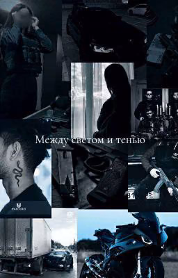 Между светом и тенью