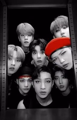 Восемь свиданий (skz)