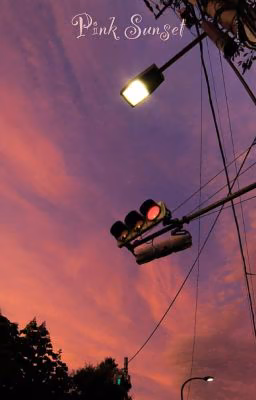 Pink Sunset