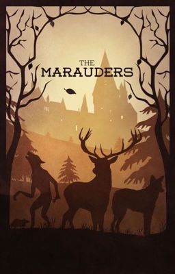 Другая жизнь Мародёров