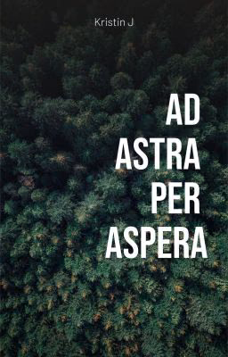 Аd astra per aspera