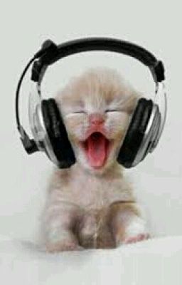 Сборник музыки