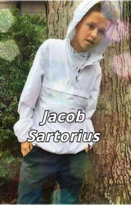 ⓙ ⓢ / Jacob Sartorius
