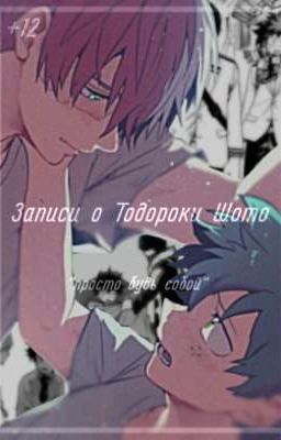 •записи о Тодороки Шото•