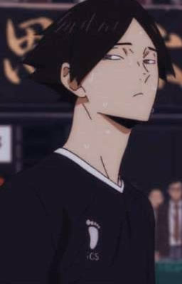 🦊🏐