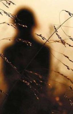 Никогда не позволяй закату ускользнуть, не поймав его.