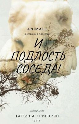 Домашний питомец и подлость соседа