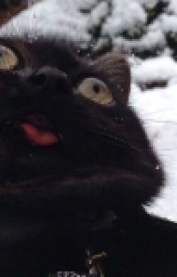 Гёте "Фауст"