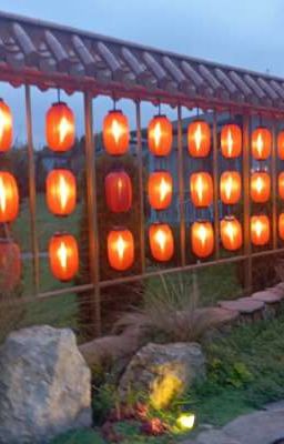 Дневник Лии Вегер