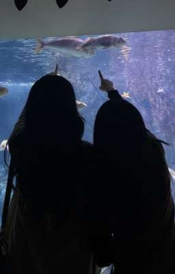 Тайные чувства