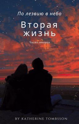 По лезвию в небо: Вторая жизнь