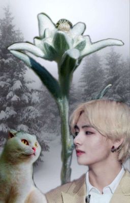 Эдельвейс: Зимняя сказка  (завершён)