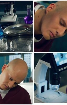 Возрождение жизни(новая жизнь)