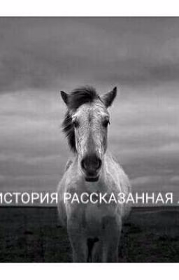 Hatter - история рассказанная лошадью