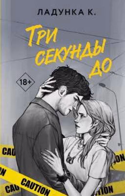 Три секунды до