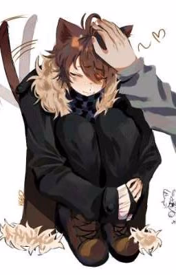 кот по кличке лолик