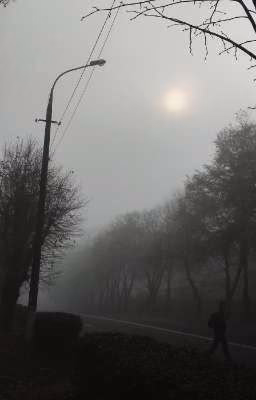 Человек Себе Не Друг