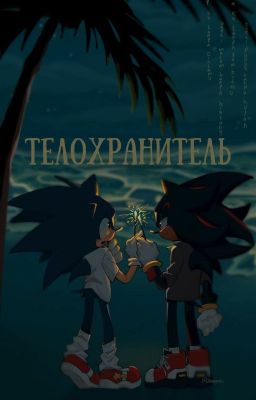 Телохранитель - фф по Сонику и Шэдоу