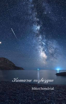 Кошачье созвездие 