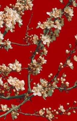 Naruto stories | истории Наруто