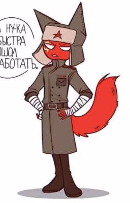Как я случайно попал в Countryhumans (кринж Заморожен)
