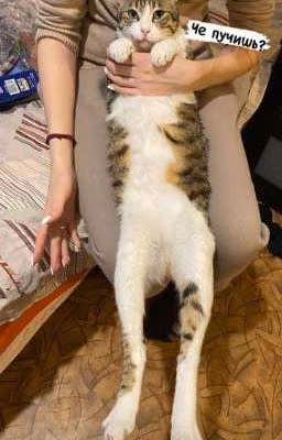 Больше чем друзья🗿❤