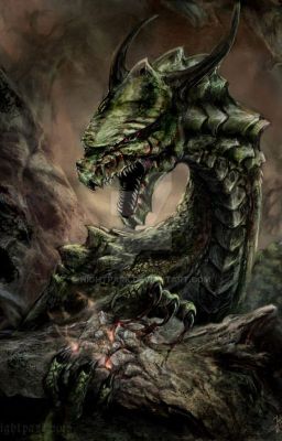 Двенадцать рек за один глаз