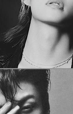 Ветеринар27