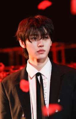 От неновести до любви