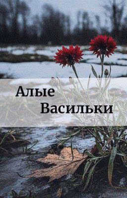 Алые васильки