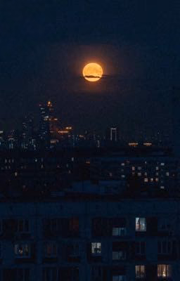Блокнот