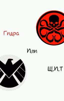 Гидра или .Щ.И.Т?