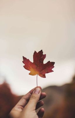 Цитаты из книг и фильмов (2 часть)