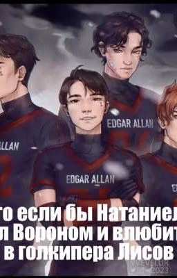 что если бы Натаниель был Вороном и влюбится в голкипера Лисов