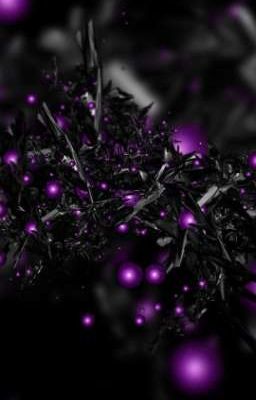 мастер дракона