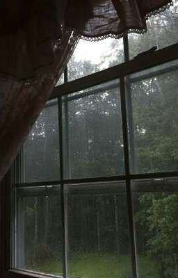 Давай останемся там, где дожди? 