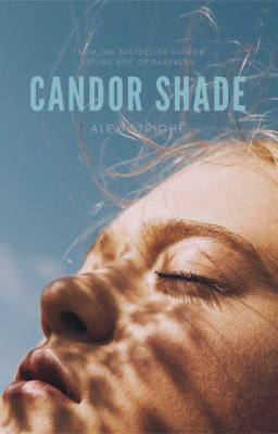 CANDOR SHADE