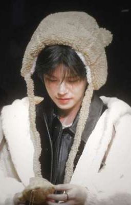 Между двумя стаями