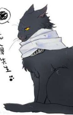 Неожиданный поворот событий.