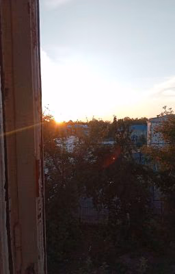 моя жизнь... наверное