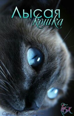 Лысая Кошка (Bald Cat)