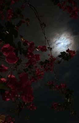 Тень кардинальского прошлого