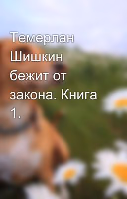 Темерлан Шишкин бежит от закона. Книга 1.
