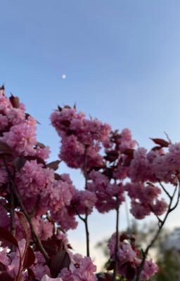 Всё, что я скрывала...