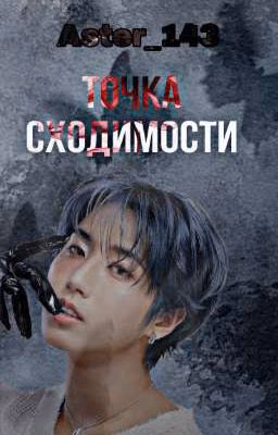 Точка сходимости