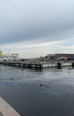 ТТСМ (ты теперь со мной)