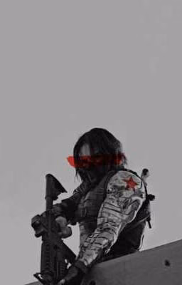 winter soldier and y/n