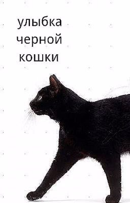 Улыбка черной кошки