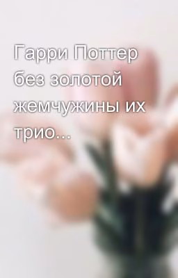 Гарри Поттер без золотой жемчужины их трио...
