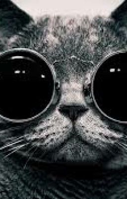 Мой парень - кот